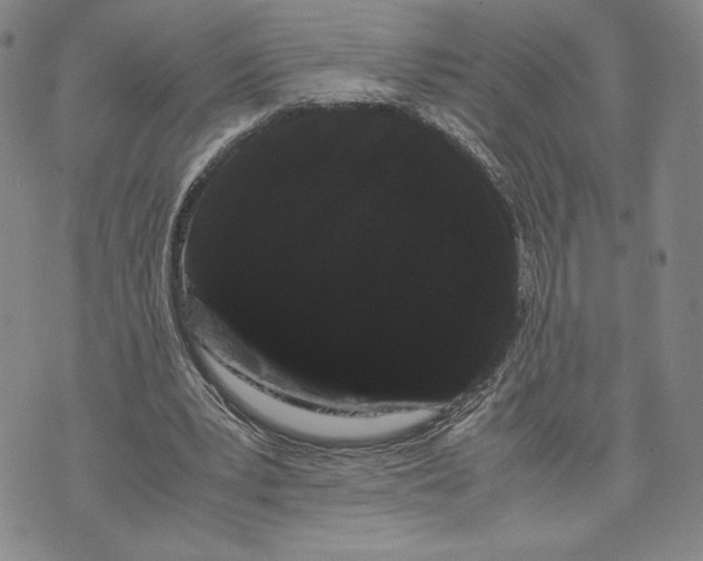 X0000072500391200608041446