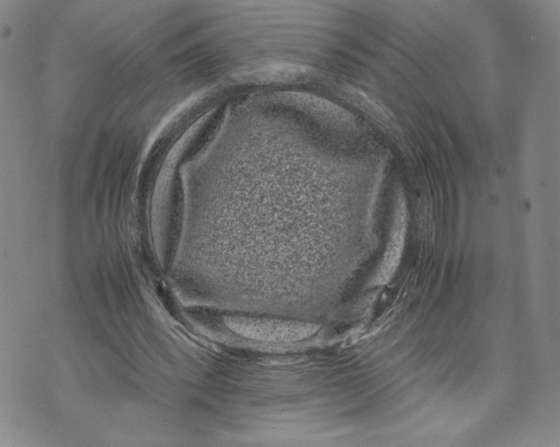 X0000072500392200608041446