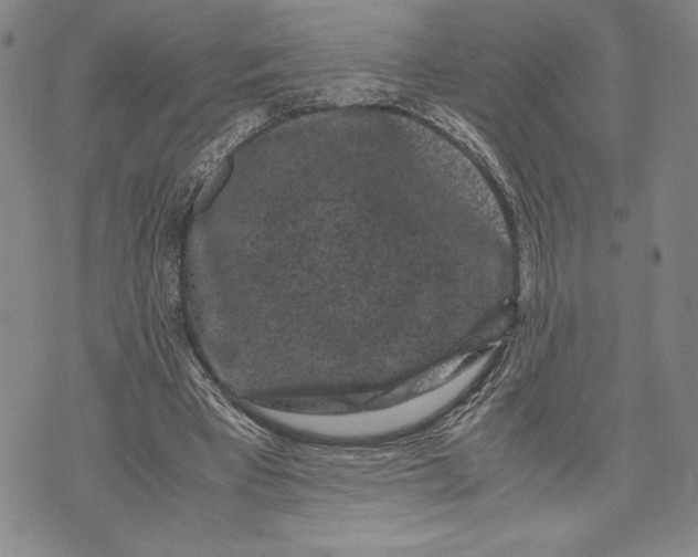 X0000072500393200608041446