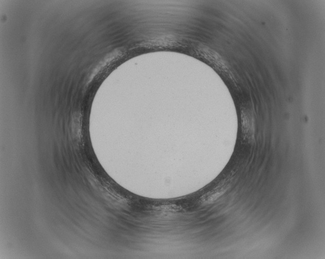 X0000072500396200608041446