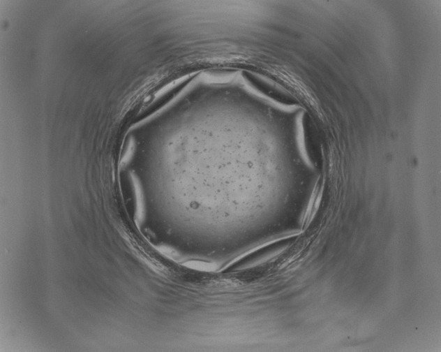 X0000072500397200608041446