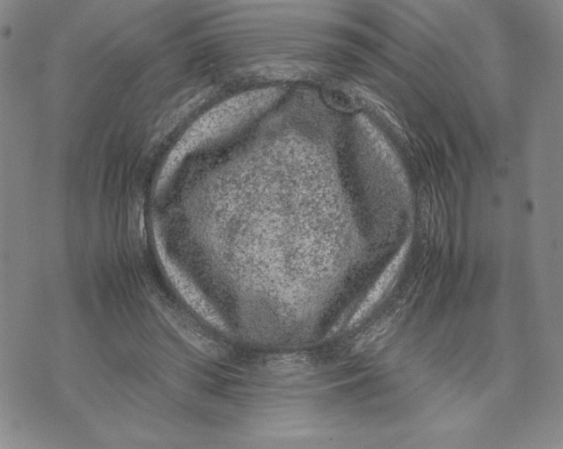 X0000072500398200608041446