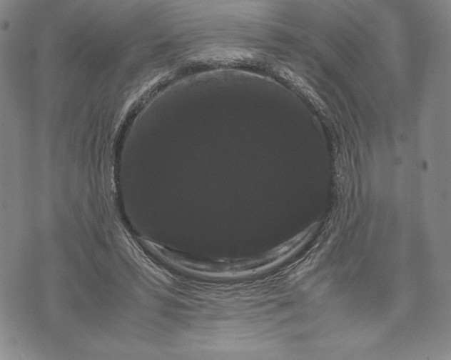 X0000072500399200608041446