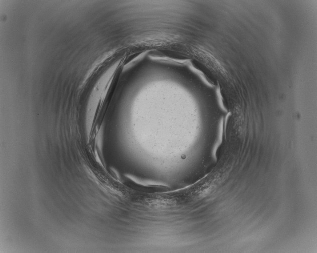 X0000072500400200608041446