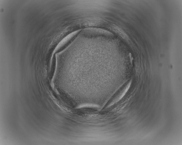 X0000072500401200608041446