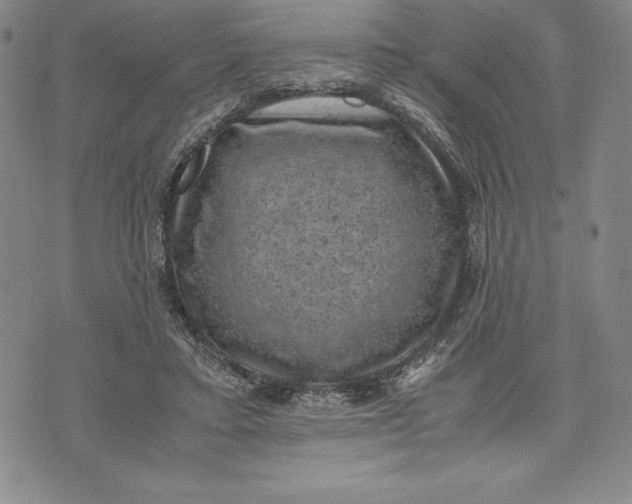 X0000072500403200608041446