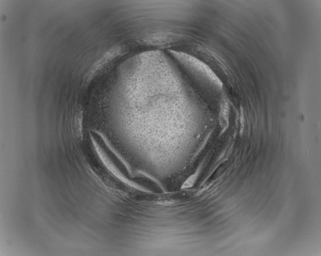 X0000072500404200608041446