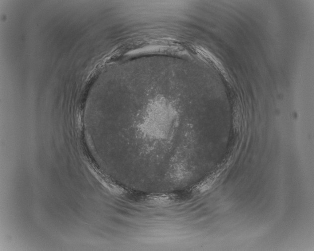 X0000072500405200608041446