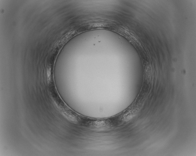 X0000072500406200608041446