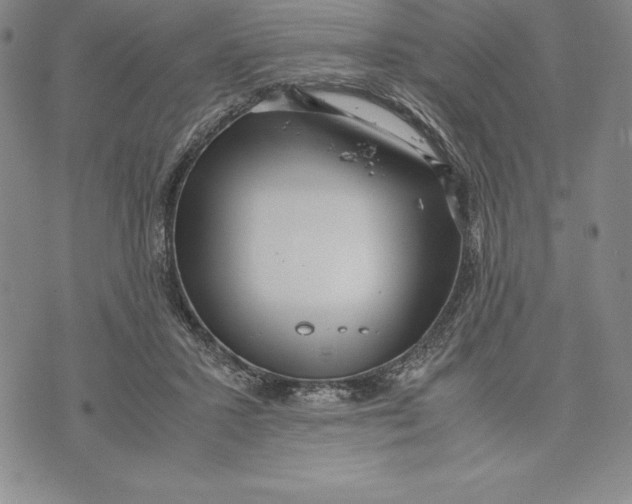 X0000072500407200608041446