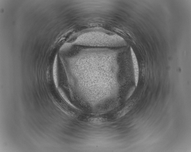 X0000072500408200608041446