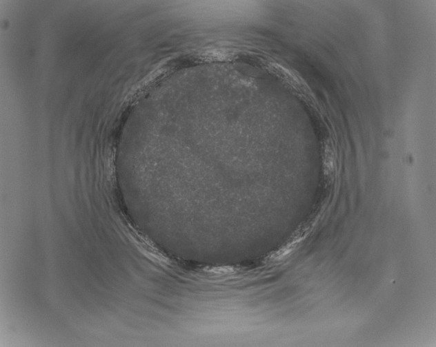 X0000072500409200608041446