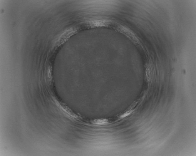 X0000072500410200608041446