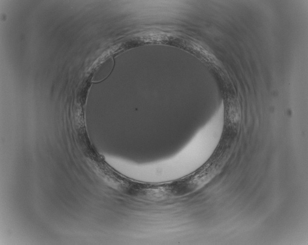 X0000072500411200608041446