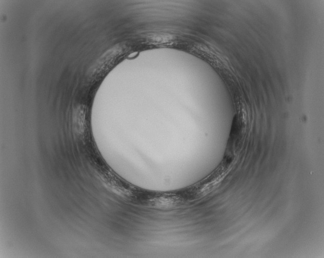 X0000072500412200608041446