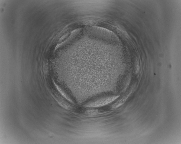 X0000072500413200608041446