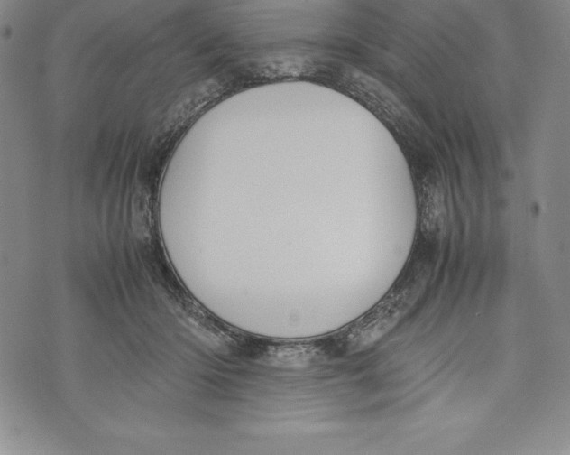 X0000072500414200608041446