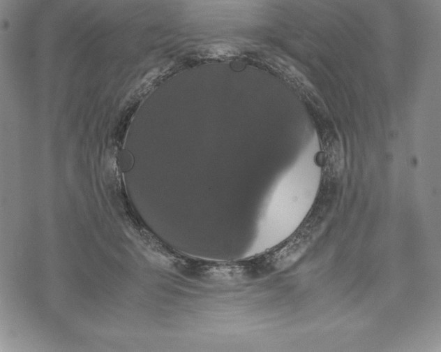 X0000072500415200608041446