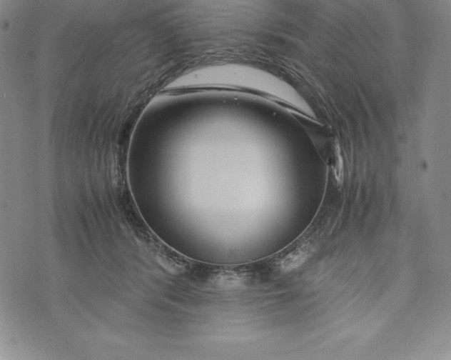 X0000072500416200608041446