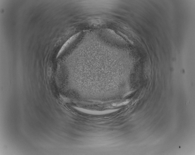 X0000072500417200608041446