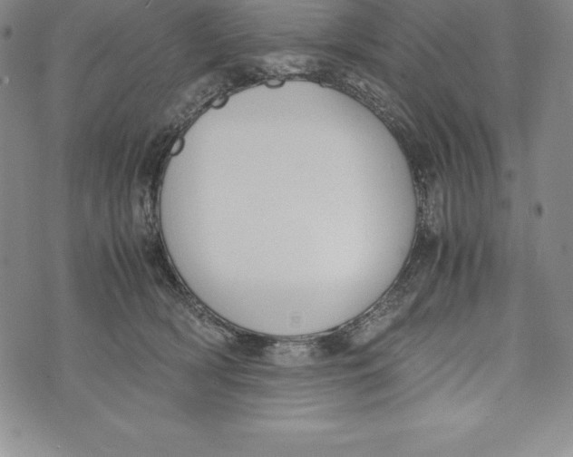 X0000072500418200608041446