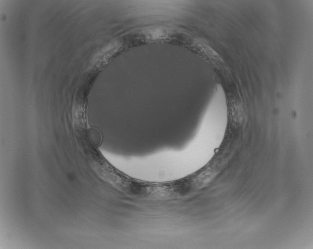 X0000072500419200608041446