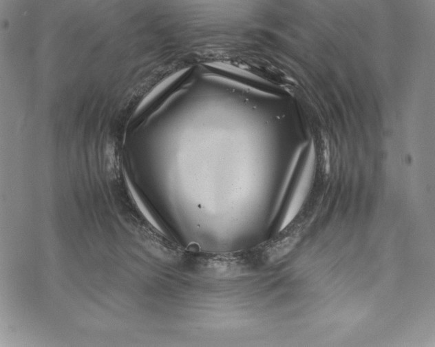 X0000072500420200608041446