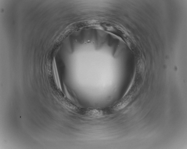 X0000072500421200608041446