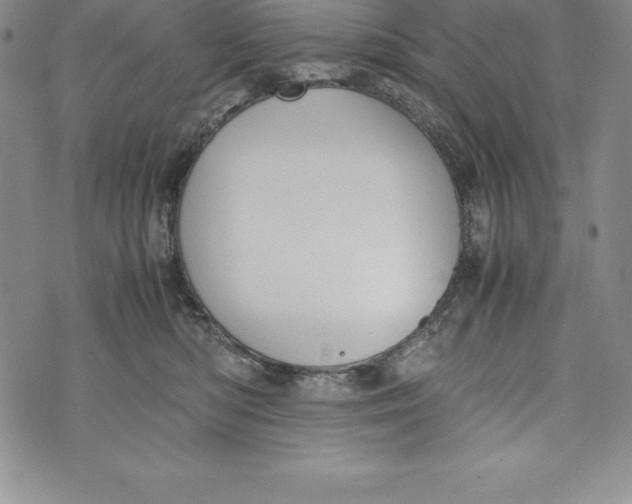 X0000072500422200608041446