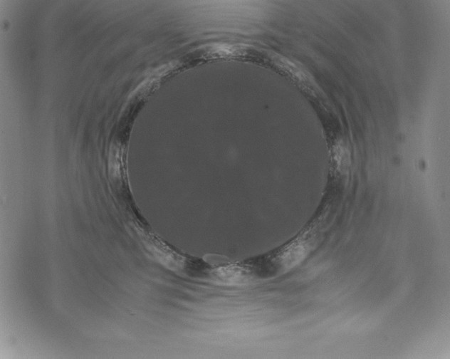 X0000072500423200608041446