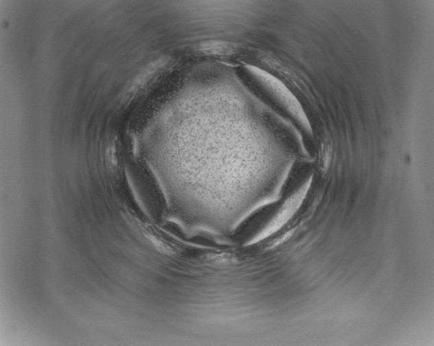 X0000072500424200608041446