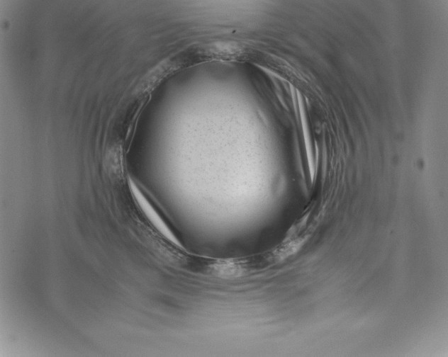 X0000072500425200608041446