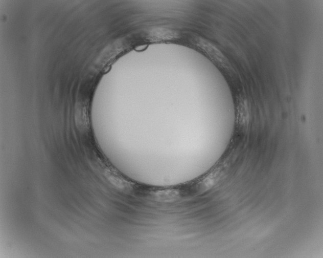 X0000072500426200608041446