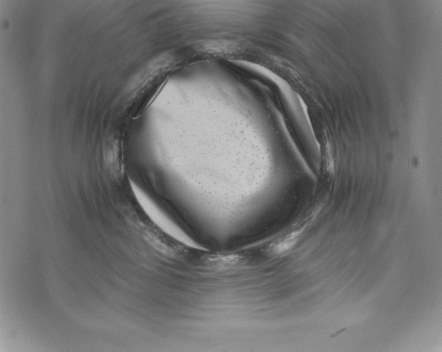 X0000072500428200608041446