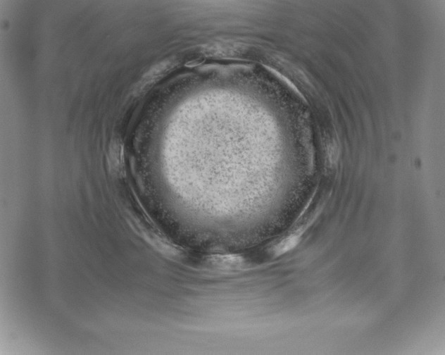 X0000072500429200608041446