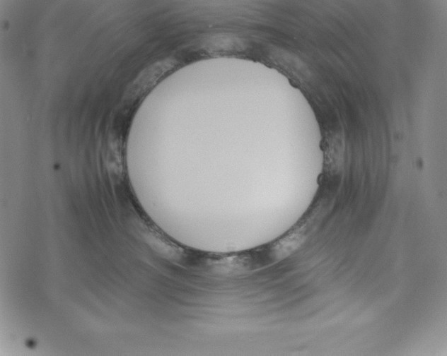 X0000072500430200608041446