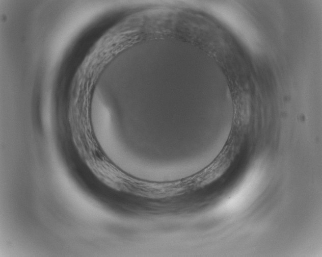 X0000072500431200608041446