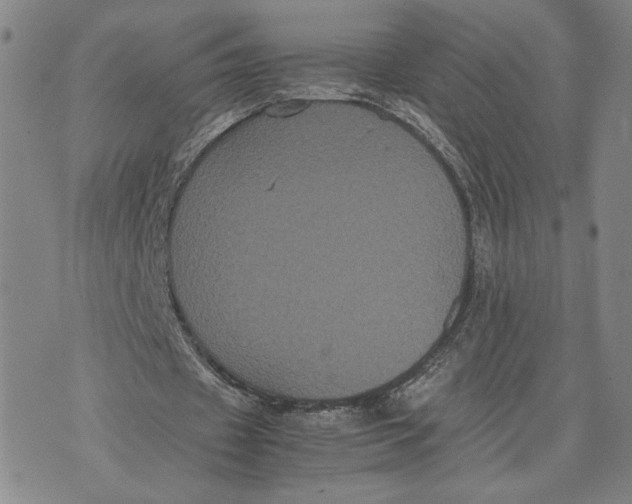 X0000072500433200608041445