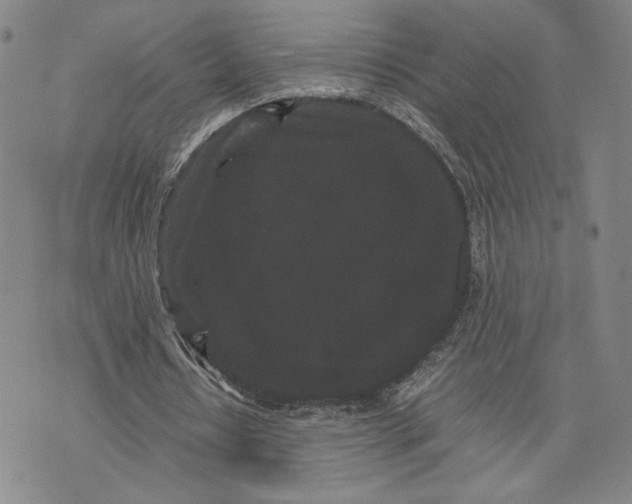 X0000072500434200608041445