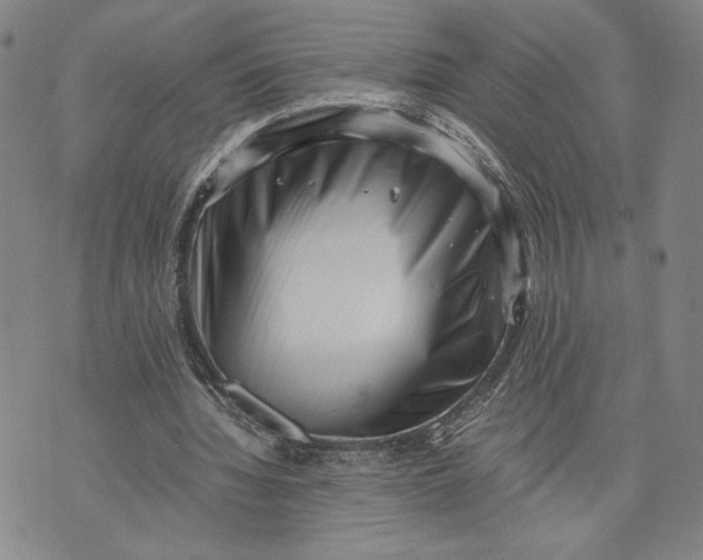 X0000072500436200608041445