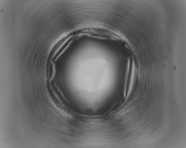 X0000072500438200608041445