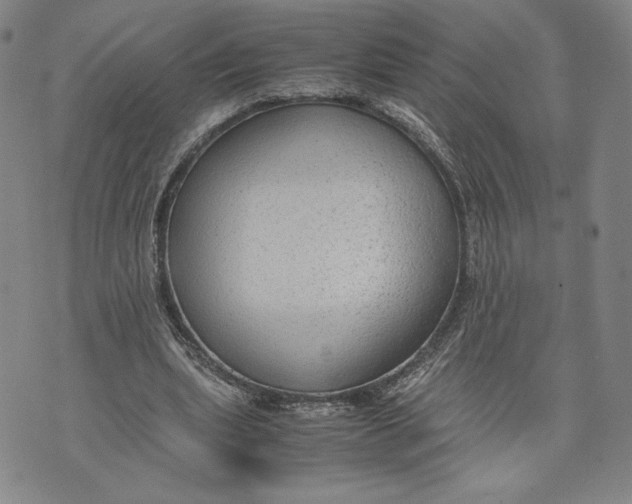 X0000072500439200608041445