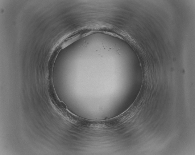 X0000072500440200608041445