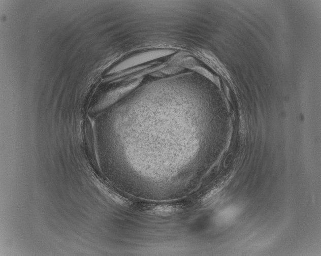 X0000072500441200608041445