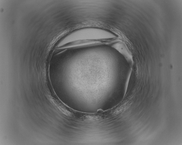 X0000072500442200608041445