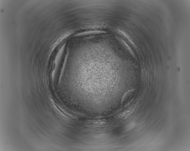 X0000072500443200608041445