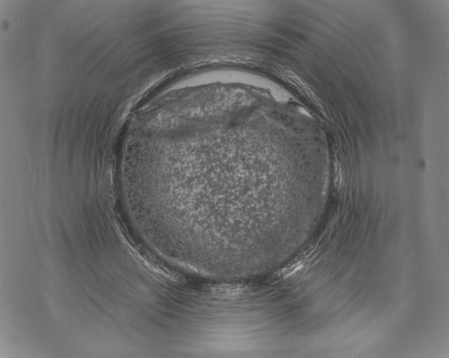 X0000072500444200608041445