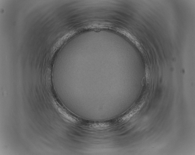 X0000072500445200608041445