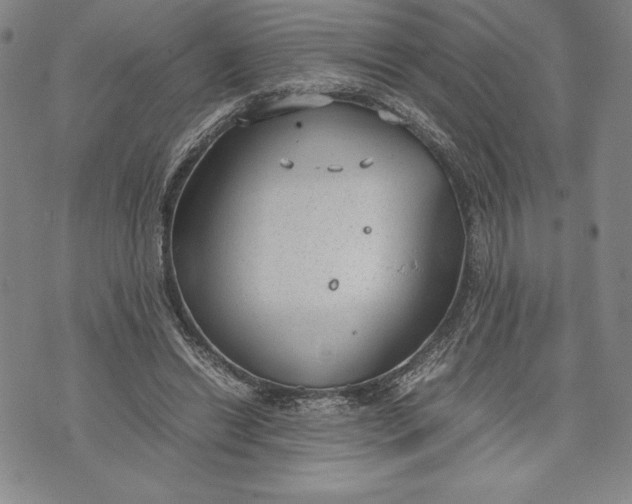 X0000072500446200608041445