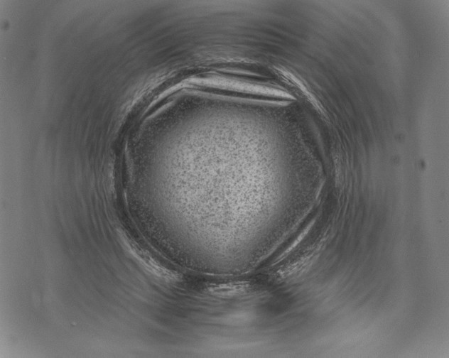 X0000072500447200608041445